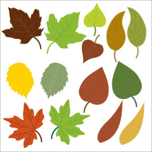 leaves-clipart